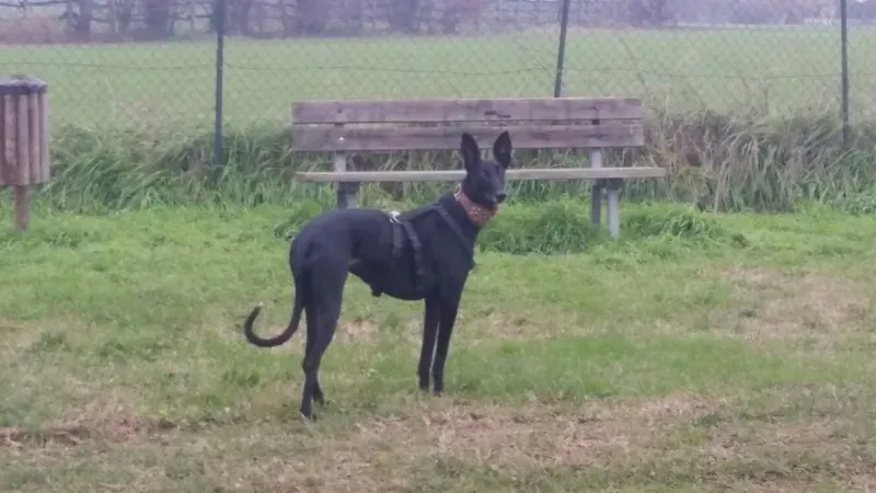 15369139 10211118393385983 8087548560828921761 o