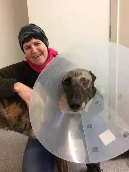 15369185 1448597041824657 1205871938053224496 o