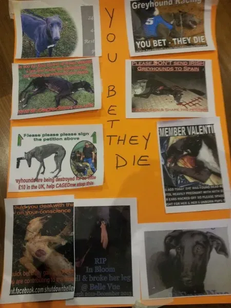 1537997 10202446073305563 2095565419 o