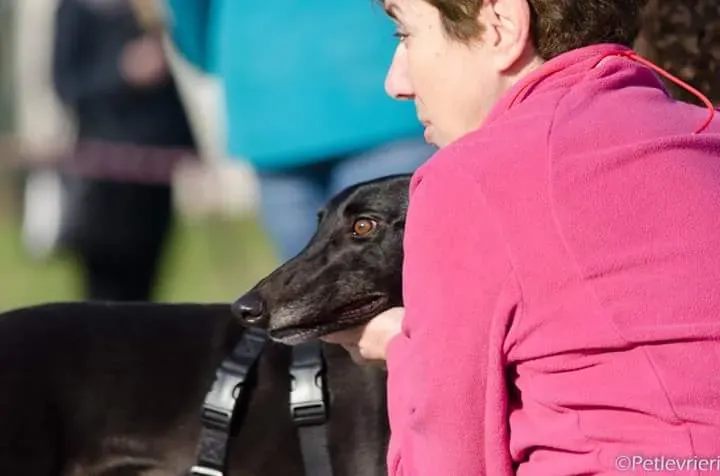 15380800 1207568189327034 8484922127674476439 n