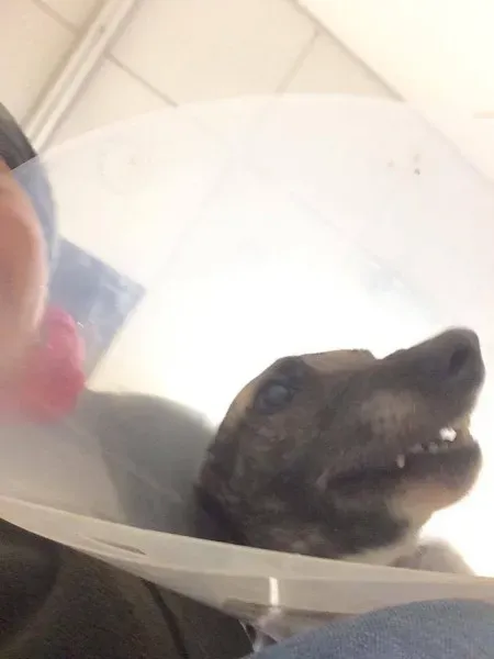 15384458 1448597901824571 4185801922461694377 o