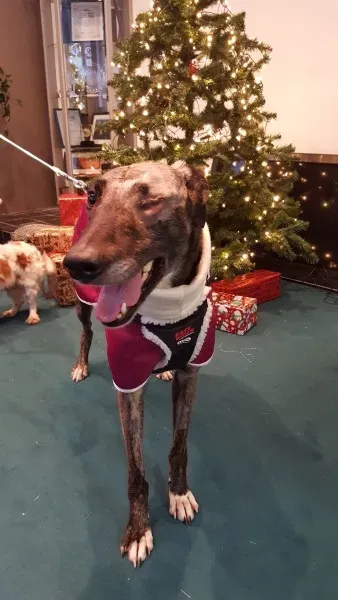 15384607 1350131298332056 4568302645878769208 o