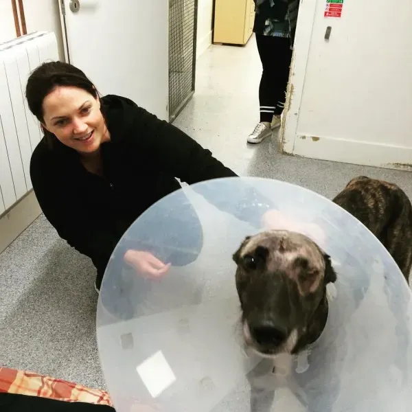 15385413 1448588405158854 9125358391385855908 o