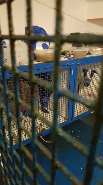 15385449 10154820988616255 5078940051967325281 o