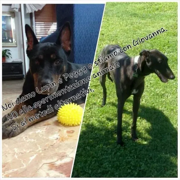 1538650 570078799742646 1167631664 n