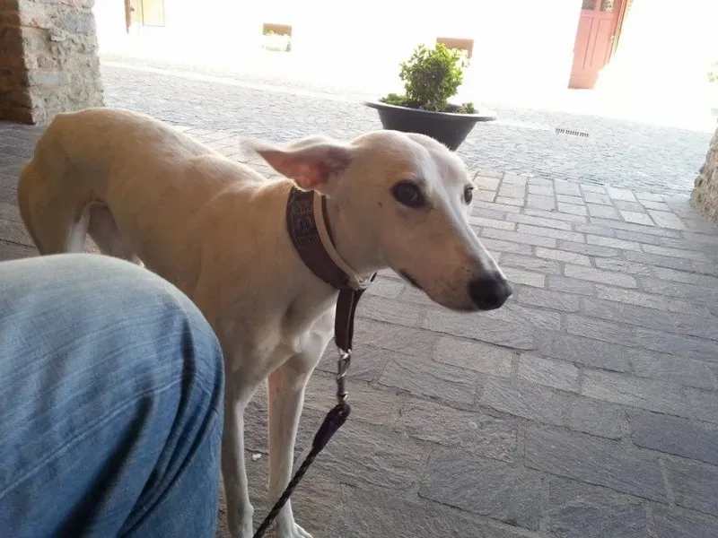 1538785 10203896110952013 2431867413372302965 n