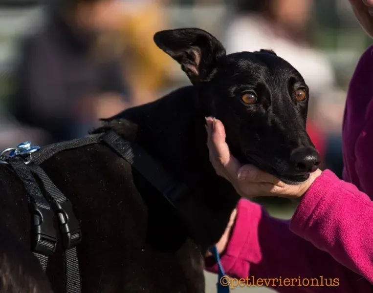 15391271 1207252779358575 3277348335059655015 o