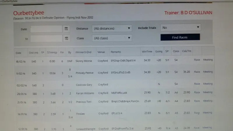 15391297 10155586231749129 3428701262509729729 o