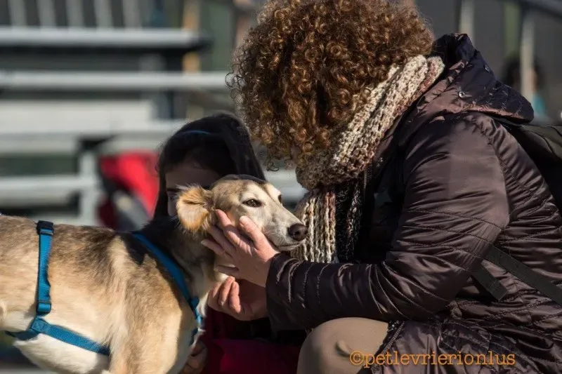 15391307 1207252289358624 260695751302819576 o