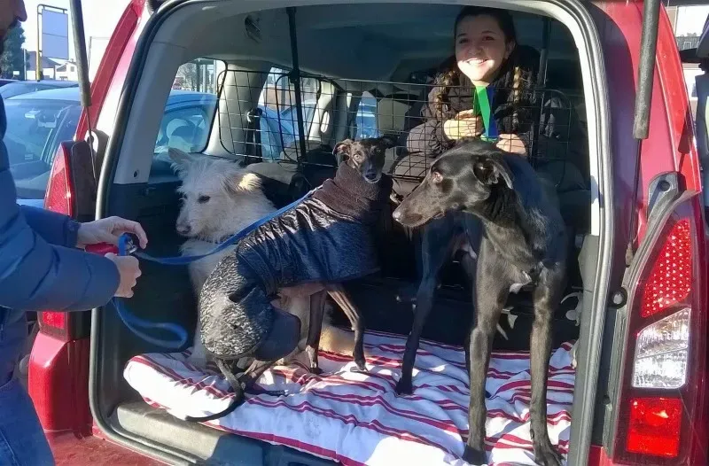 15391340 396338860707021 1072142931156573362 o