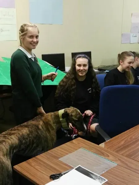 15400974 10154834776496255 8507711880745766148 n