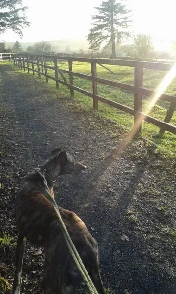 15403604 10211036615689815 1925791079345044257 o