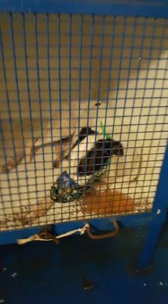 15403720 10154820988746255 193046875887047585 o