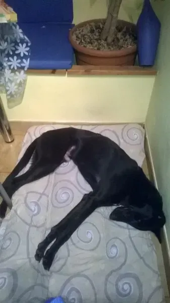 15403804 396340400706867 4001860910528536357 o