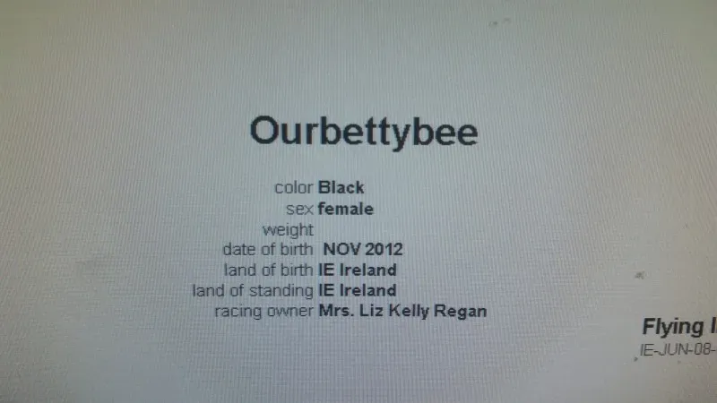 15403826 10155586233429129 6337811633264230424 o