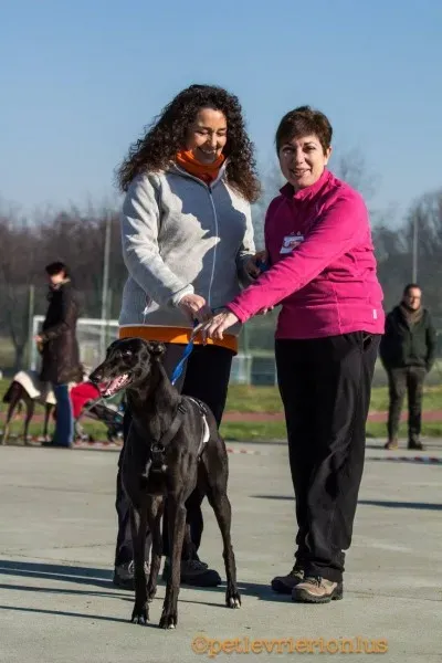 15418301 1207252969358556 1452395067093110081 o