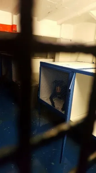 15418378 10154820988806255 5981635095444487635 o