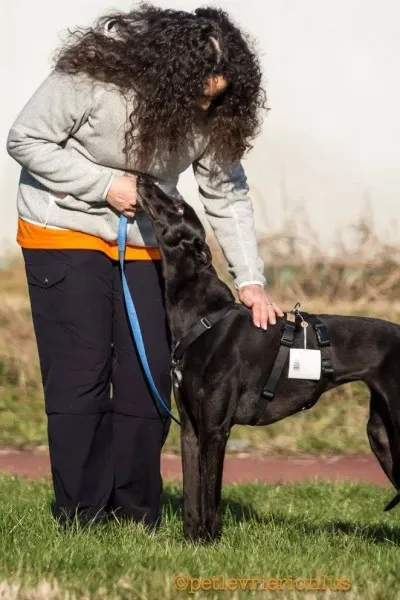 15418409 1207252759358577 7570571685960360295 o