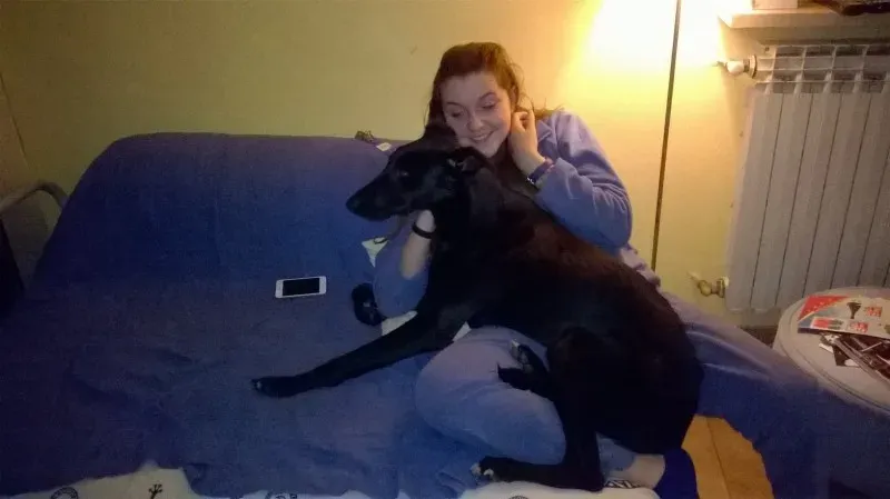 15419562 396338964040344 1802717334005604911 o