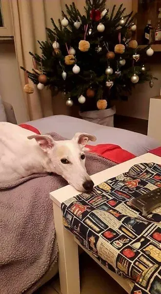 15420828 357120384660133 5076165576889132119 n