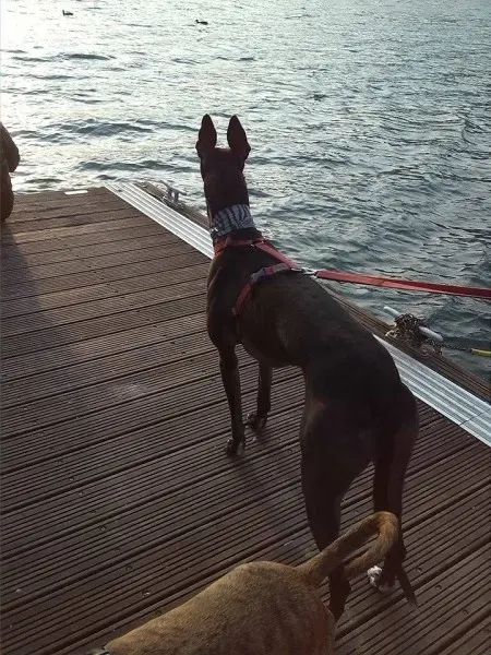 1543990 789849724417013 405612043 n