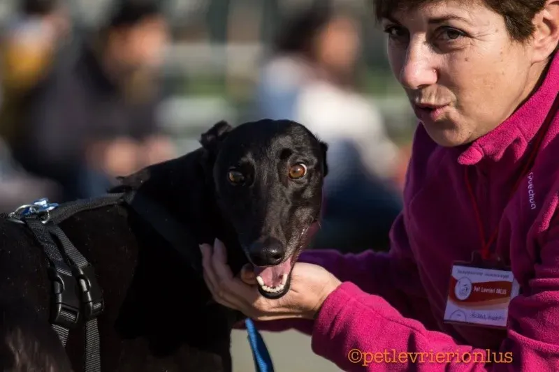 15440551 1207252999358553 8813712895494562412 o