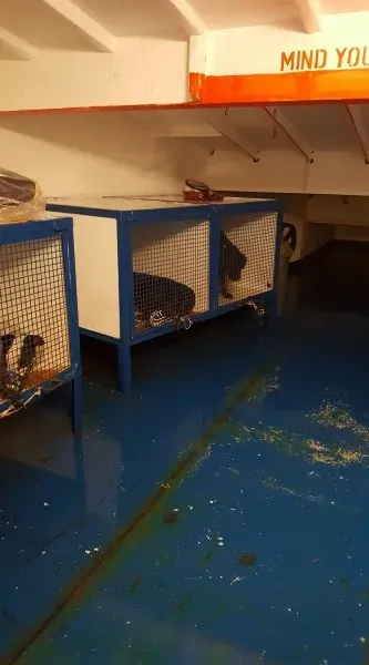 15440560 10154820988656255 114800864251637550 o