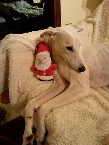 15442278 357118384660333 2116639686844984492 n