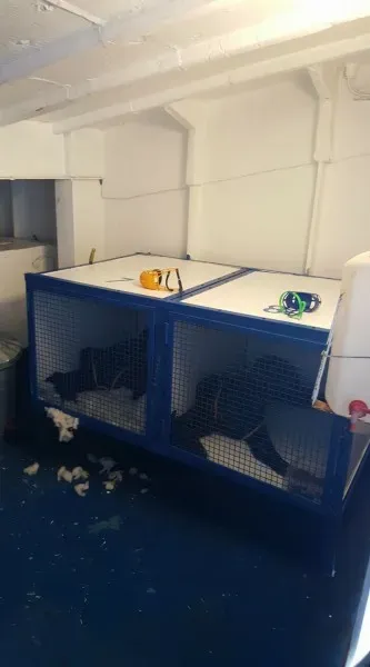 15443108 10154820988851255 8890636356479136520 o