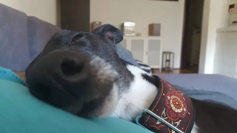 1544320 713232012111025 9112414654928843528 n