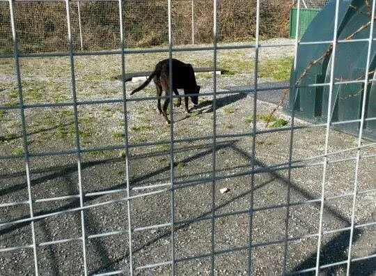 1544346 784590178291506 3650170468099208003 n