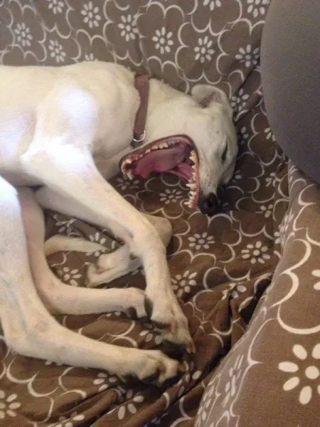 1544550 10203961010734467 8804566385744059896 n