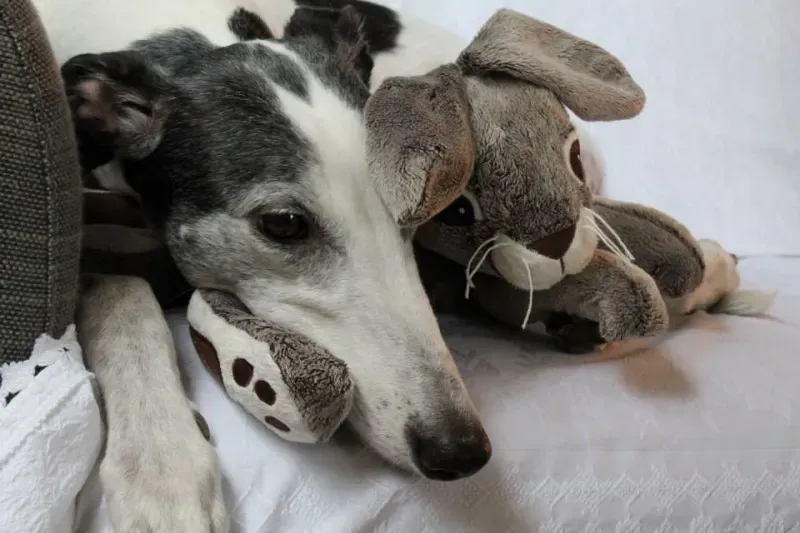 1544594 10202232460485783 538256938 n