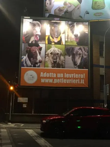 15451035 10154809510736563 931804943 n