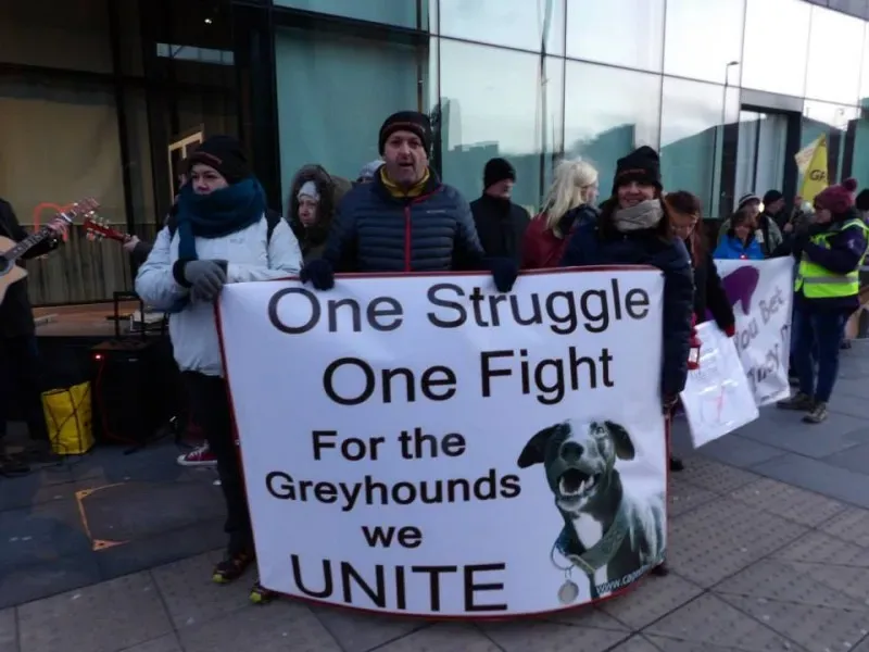 1545861 550565878384885 1919233375 n