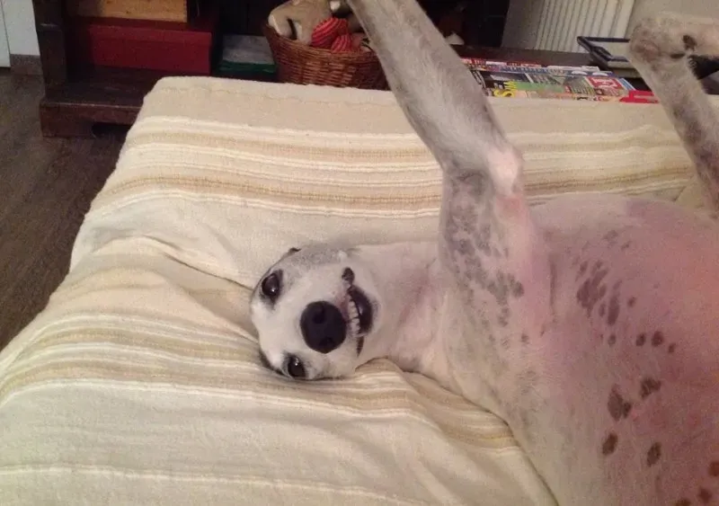 1545897 10202766341712480 1925405219 n