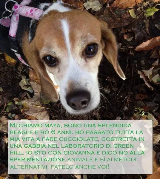 1545930 570076326409560 1277459216 n