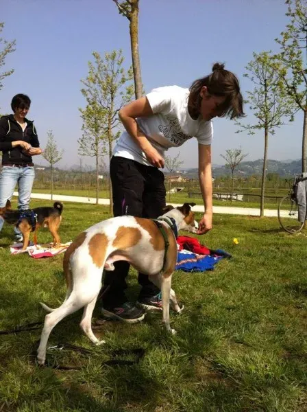 1546187 729451920440867 3233848328950030965 n