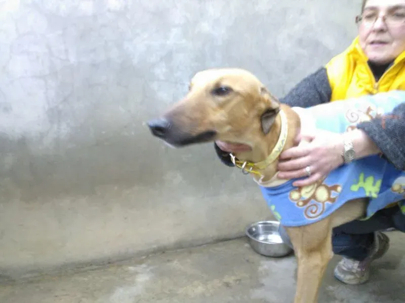 1546188 735161399901051 6809645807697121219 n