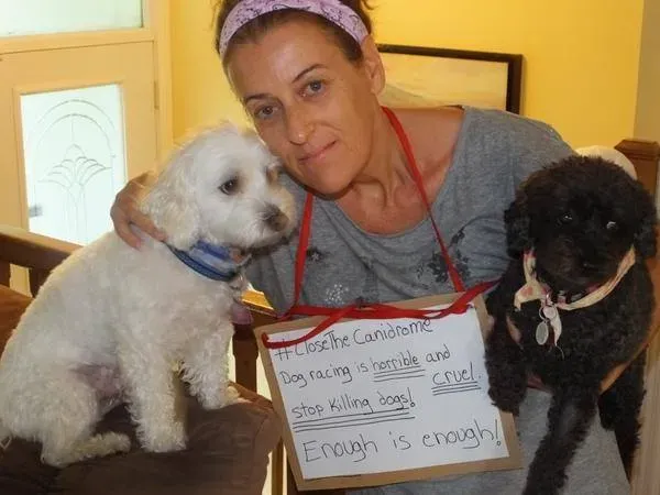 1546249 10153164997308354 7284861726991362929 n