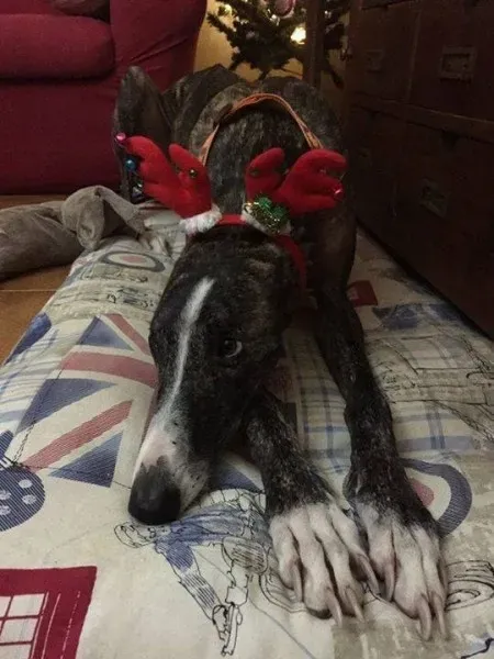 15492048 358351761203662 1929686549164610694 n