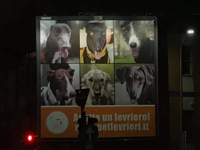 15492335 10209066630557883 935252001736725121 n