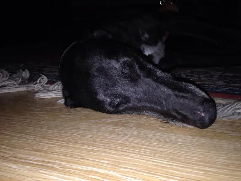 1549347 861732693844786 1510874877822595111 n