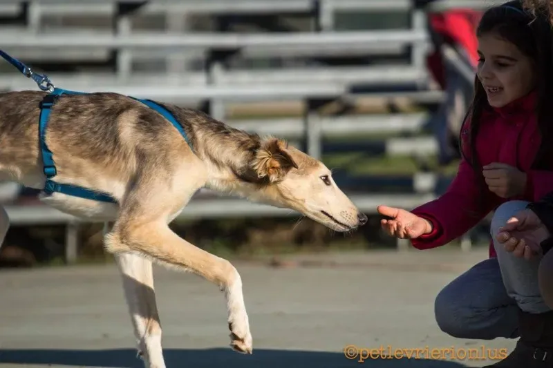 15493567 1207252192691967 4922559330939601084 o