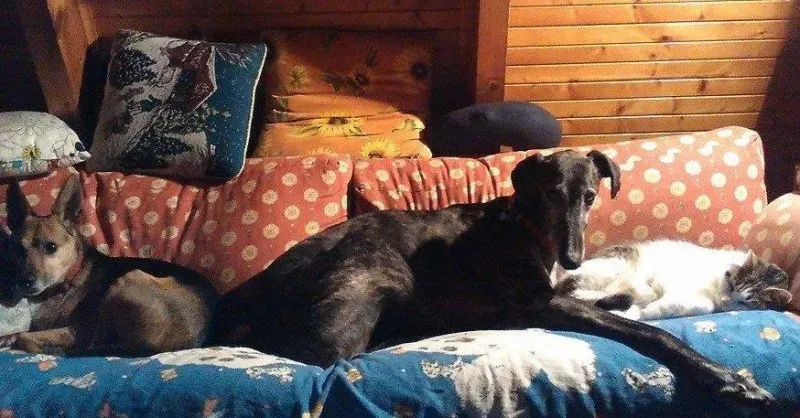 1549491 775562512527606 2689243832876659135 n