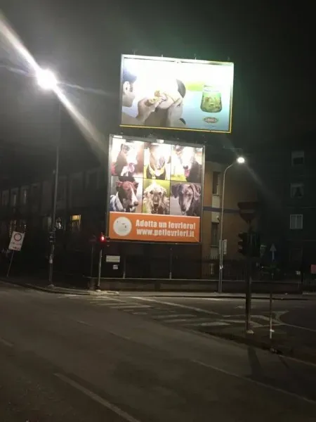 15497678 10154809510781563 1748681021 n