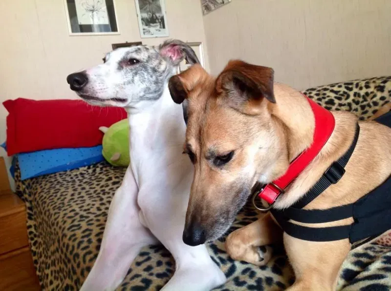 155180 10202426655920444 1010778672 n