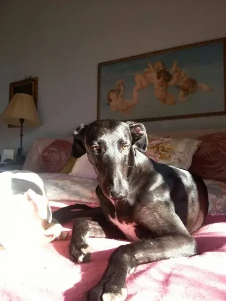 1553474 10205146226689069 665172172799938241 o