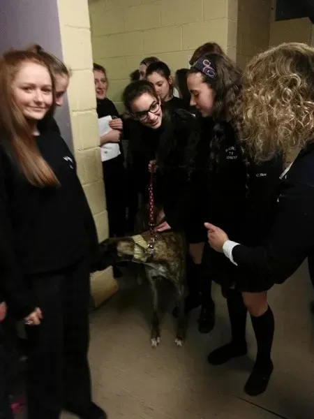 15541125 10154834776176255 4246419290228858951 n