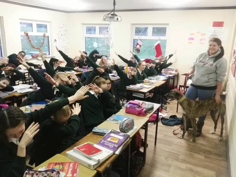 15541292 10154834775931255 171934914215503752 n 1